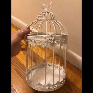Metal white painted bird cage with clear bird.
